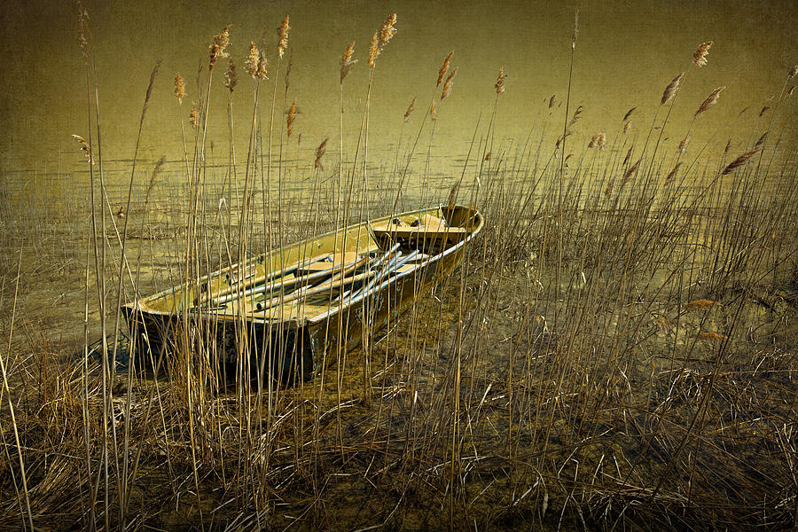 Lake Michigan Photograph - Boat among the Reeds by Randall Nyhof