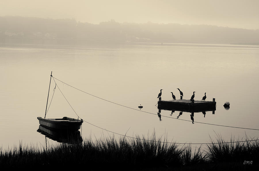 Boat and Cormorants - Taunton River Photograph by David Gordon