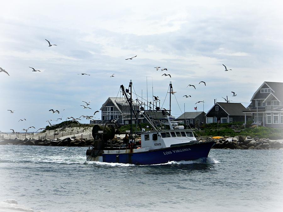 Landscape Photograph - Boat and Gulls by Diane Valliere