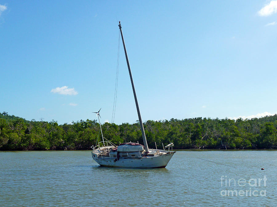 Boat Photograph - Boat and Island by Francesca Mackenney