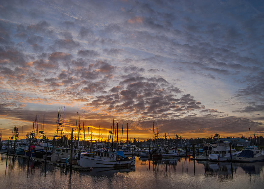 Boat Basin Sunrise Photograph by Robert Potts