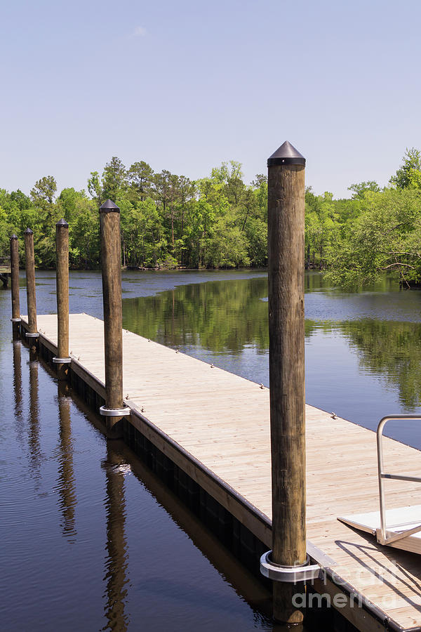 Boat Dock and Pilings on the Waccamaw River at Conway Photograph by MM Anderson