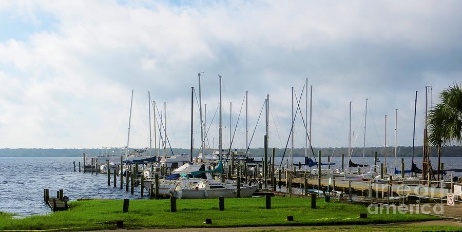 Boat Dock On The St. Johns River Photograph by Tim Townsend