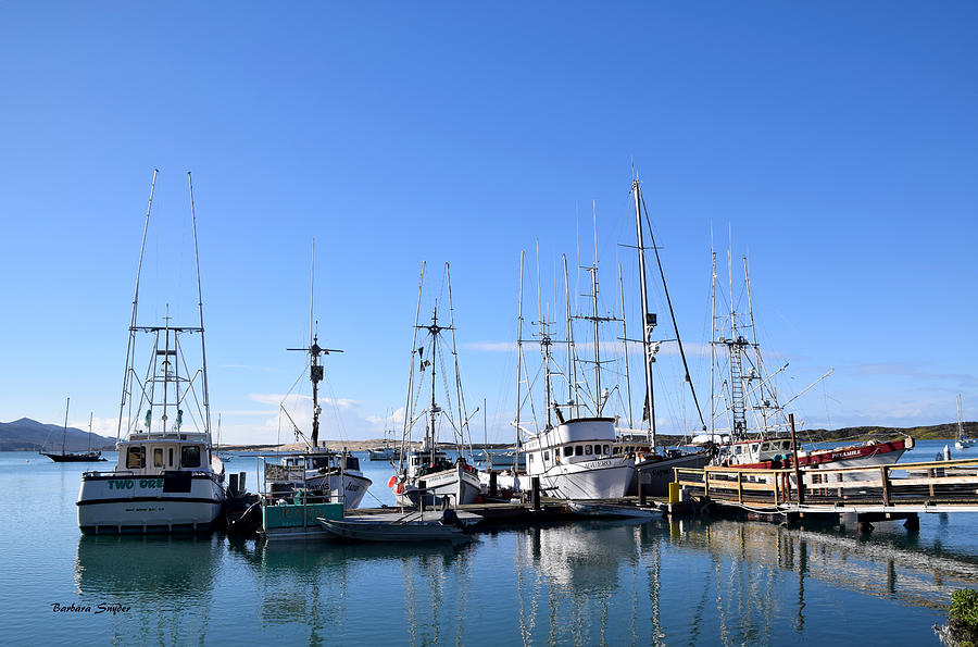 Boat Docks Of Morro Bay California Painting by Barbara Snyder