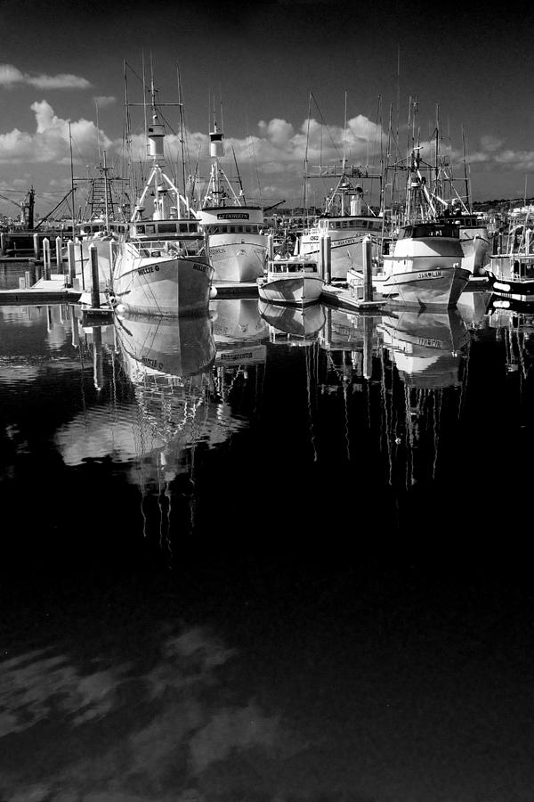 Boat Fleet in San Diego Harbor Photograph by Randall Nyhof