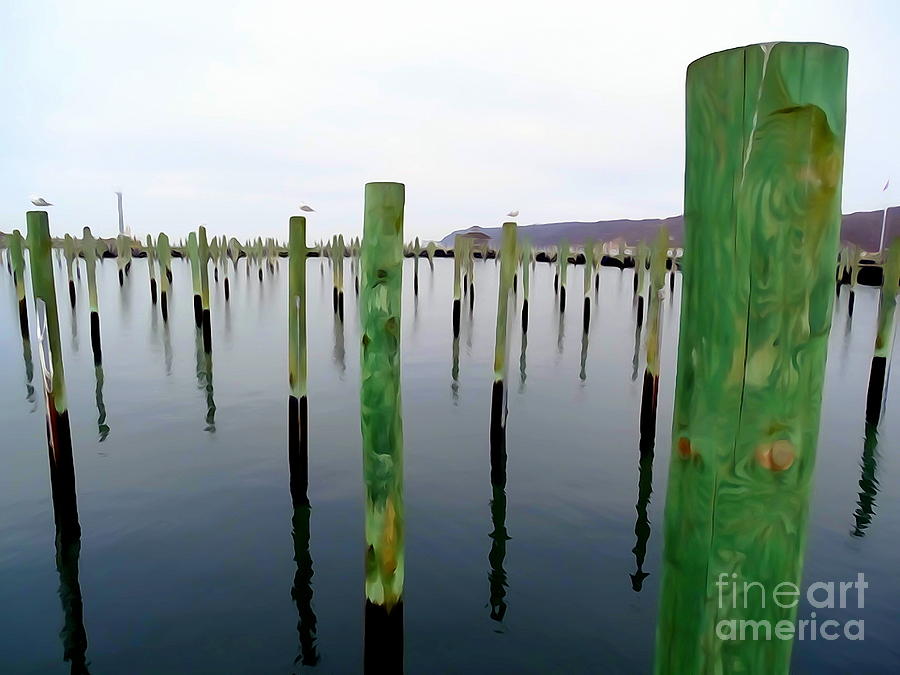 Boat Marina Poles Digital Art by Ed Weidman