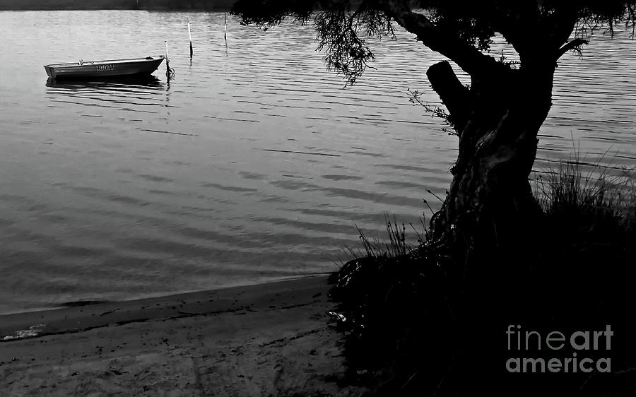 Boat on the Bay BW Photograph by Tim Richards