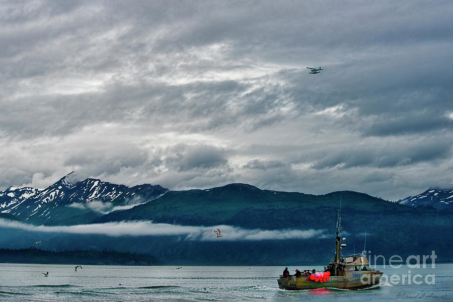 Boat Plane Mountains and Birds Photograph by David Arment
