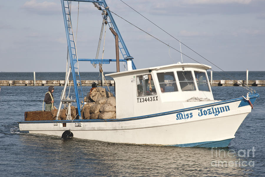 Boat With Harvested Oysters Photograph by Inga Spence