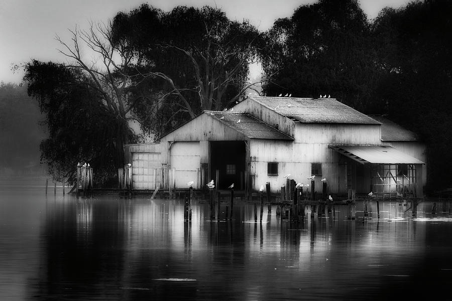 Boathouse bw Photograph by Bill Wakeley