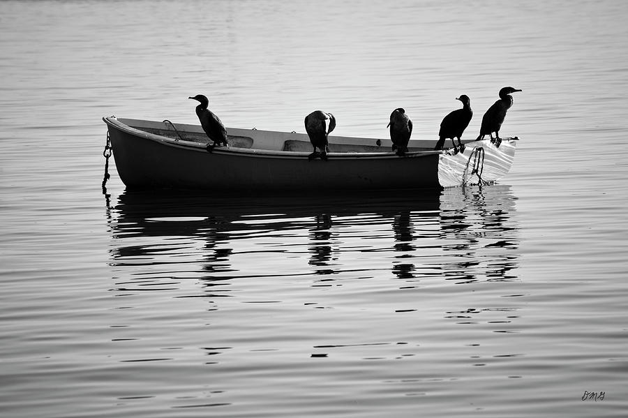 Boat Photograph - Boats and Cormorants Plymouth Harbor BW by David Gordon