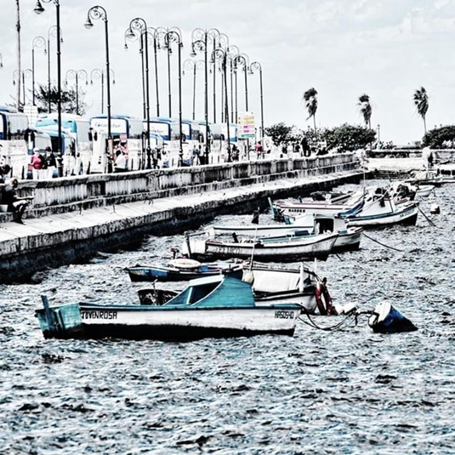 Boats Are Lined Up In The Harbor In Photograph by Sharon Popek