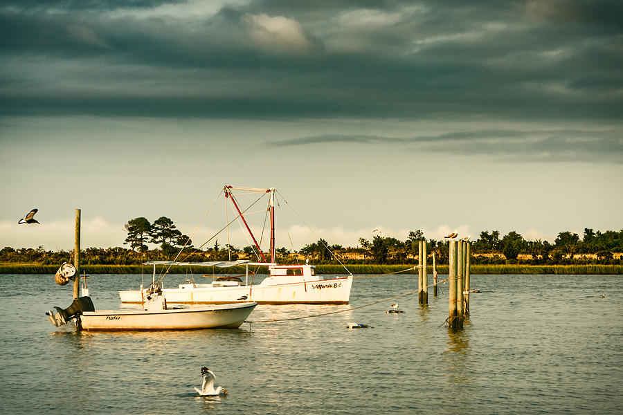 Boats at Messick Photograph by Lisa McStamp - Fine Art America