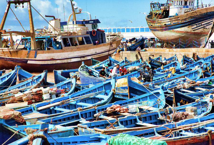 Boats Blue Essaouira II Photograph by Chuck Kuhn
