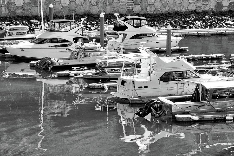 Boats Docked in Whittier Marina Photograph by Kirsten Giving