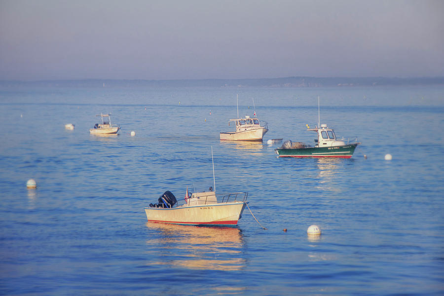 Boat Photograph - Boats in a Harbor - Ocean Sunrise by Joann Vitali
