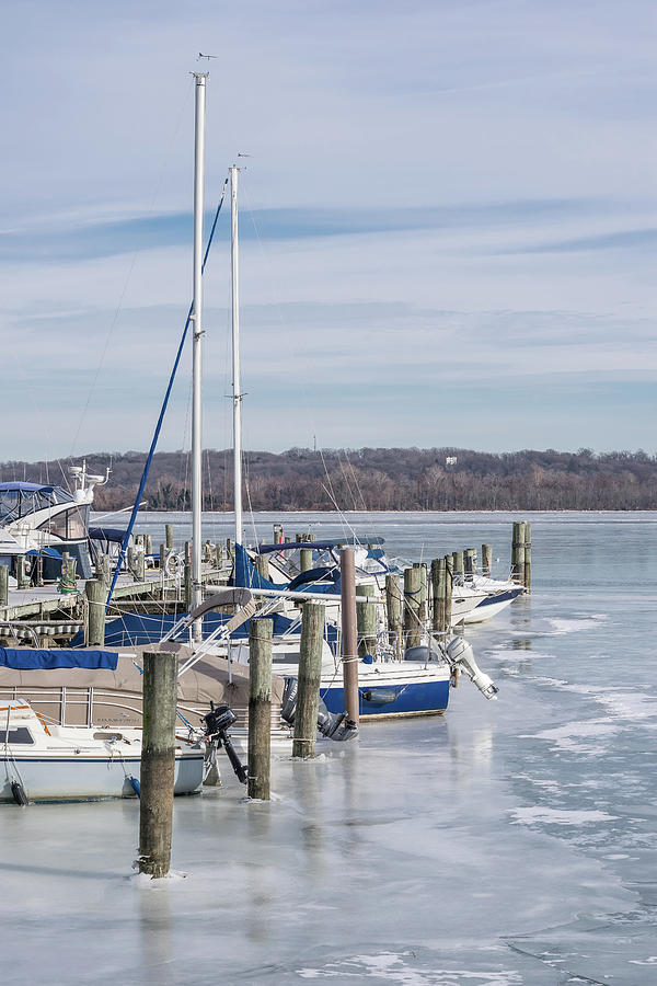 Boats In Icy Harbor Photograph by Liz Albro