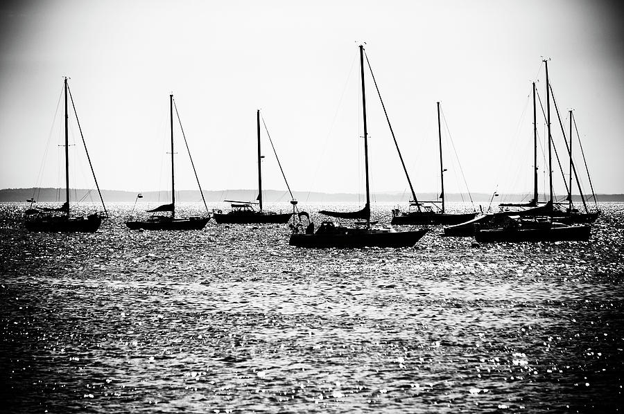 Boats in Mono Photograph by John Gusky