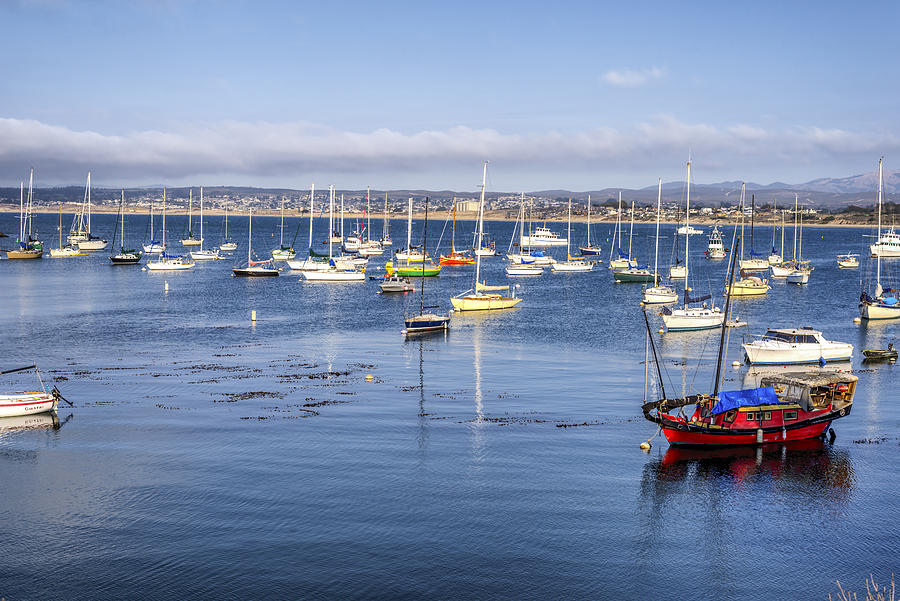 Colorful Monterey Bay Photograph by Joseph S Giacalone