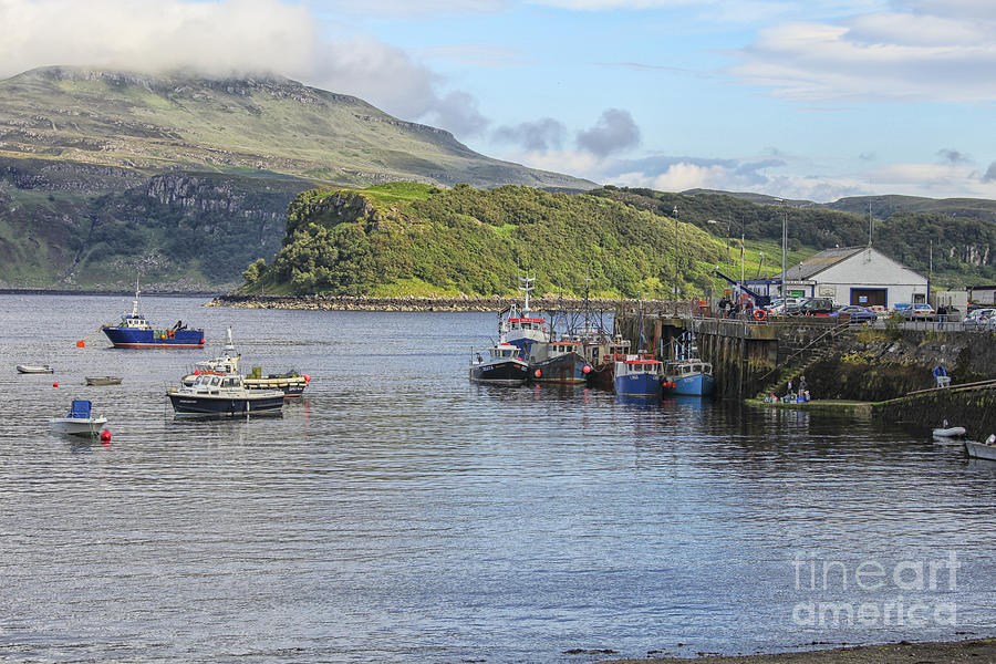 Boats in Portree harbor on Skye island Photograph by Patricia Hofmeester