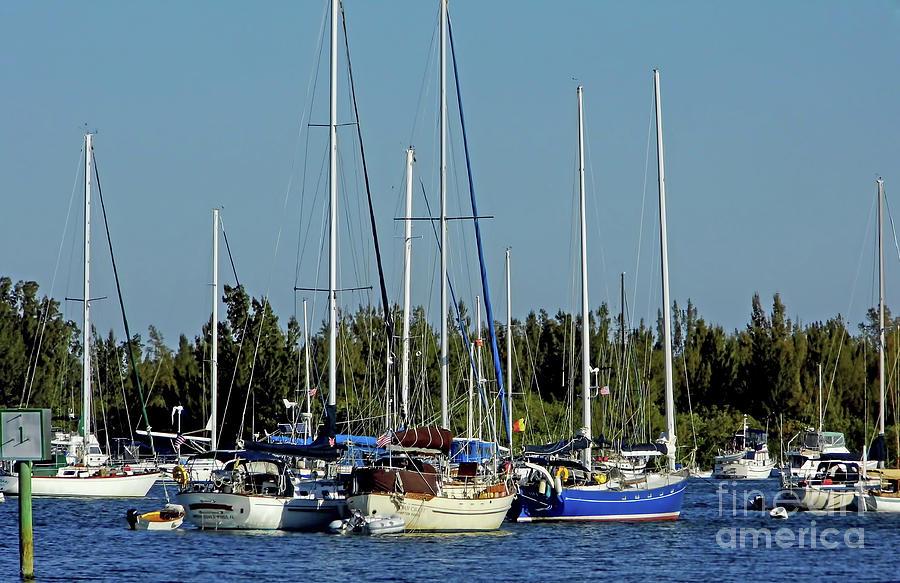 Boats In The Indian River Lagoon Photograph by D Hackett