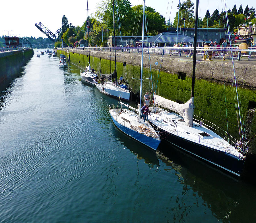 Seattle Photograph - Boats Moving Into Chittenden Locks Seattle by Susan Porter