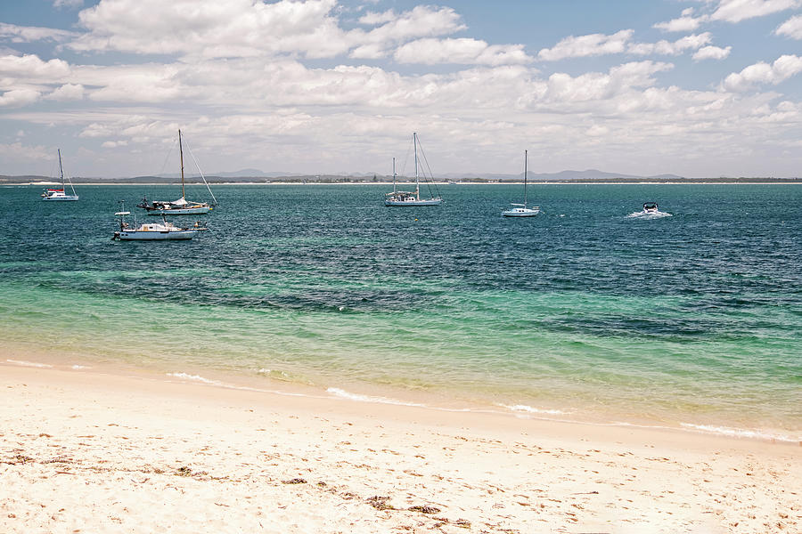 Boats on Shoal Bay Photograph by Catherine Reading