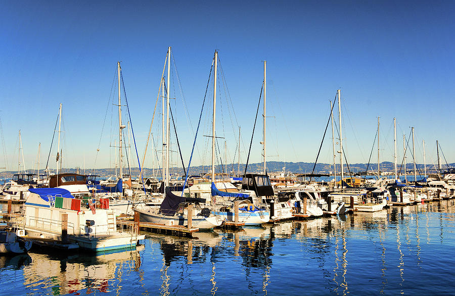 Boats on the Bay Photograph by Robert Meyers-Lussier