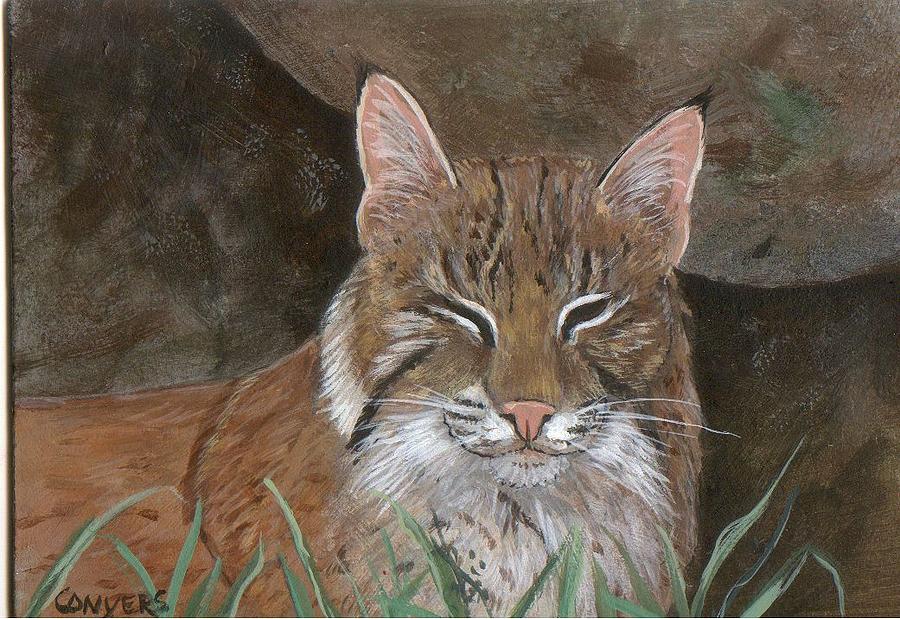 Cat Painting - Bob Cat by Peggy Conyers Cat Painting - Bob Cat by Peggy Conyers