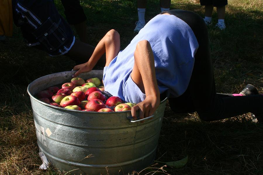 Bobbing for Apples Photograph by Polly Castor