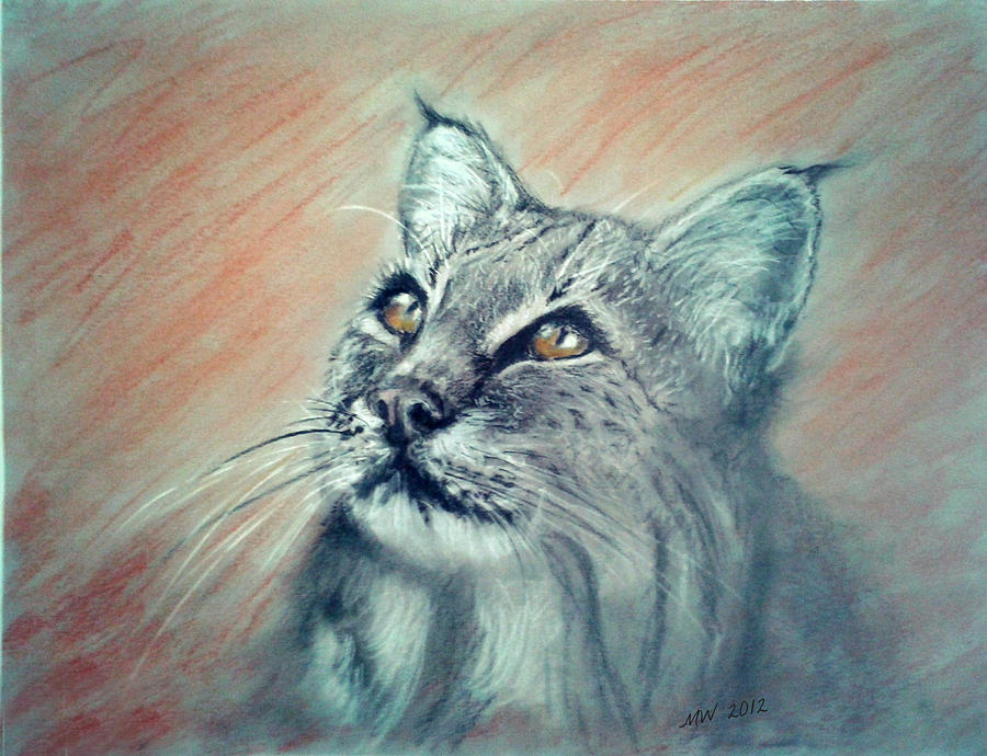Bobcat by Michelle Wolff Bobcat by Michelle Wolff