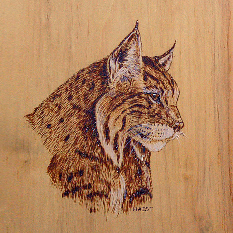 Bobcat Pillow/bag Pyrography by Ron Haist