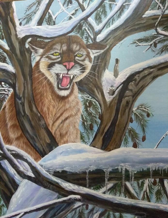 Bobcat Painting - Bobcat by Richard Young