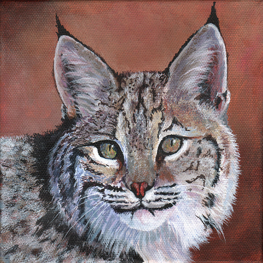 Bobcat Painting by Timithy L Gordon