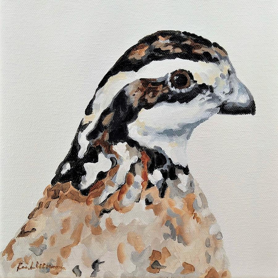 Northern bobwhite quail feathers - archival print of my original watercolor  painting, bird, pair, scientific, illustration