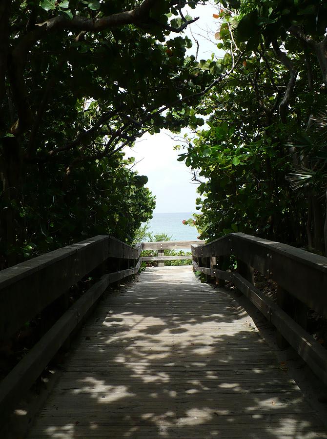 Boca Beach Boardwalk Photograph by Florene Welebny