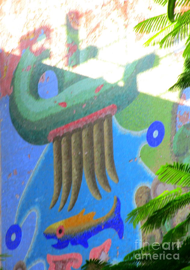 Boca Chica Mural 1 Photograph by Randall Weidner