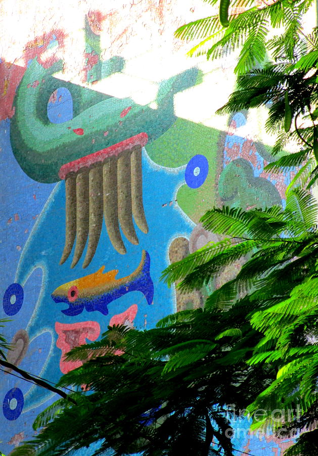 Boca Chica Mural 2 Photograph by Randall Weidner