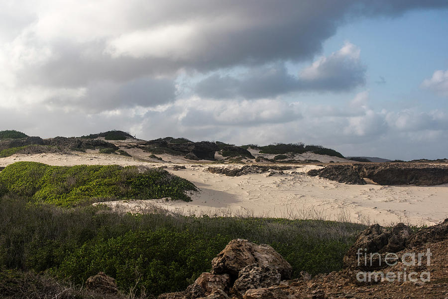 Boca Prins Dunes Photograph by Judy Wolinsky
