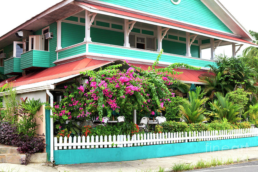 Bocas Town Living in Bocas del Toro Photograph by John Rizzuto