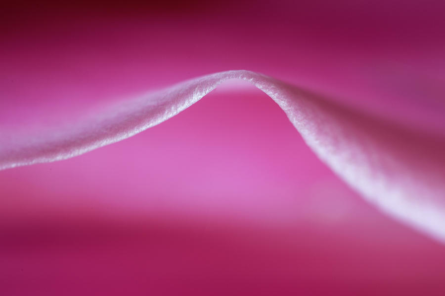 Bodacious Curve Photograph by Bob Cournoyer