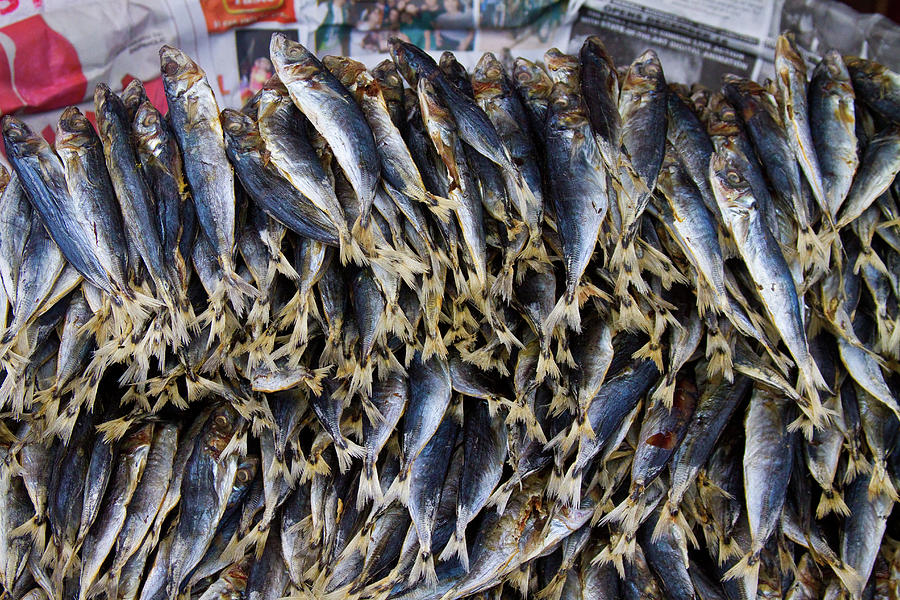 Fish Photograph - Bodboron Filipino Dried Fish by James BO Insogna