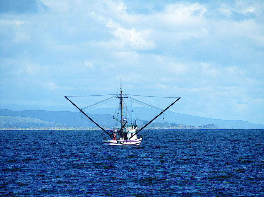 Bodega Bay Fishing Boat Photograph by Catherine Geernaert - Pixels