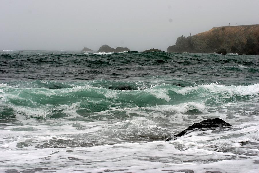 Ocean Beach Photograph - Bodega  Bay by Ofelia  Arreola
