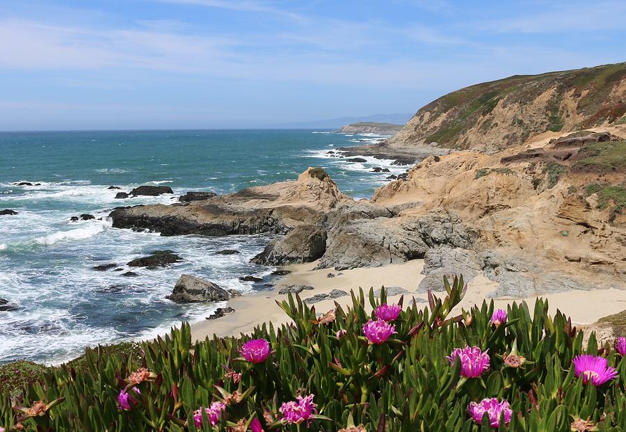 View from Bodega Head in Bodega Bay CA  Photograph by Christy Pooschke
