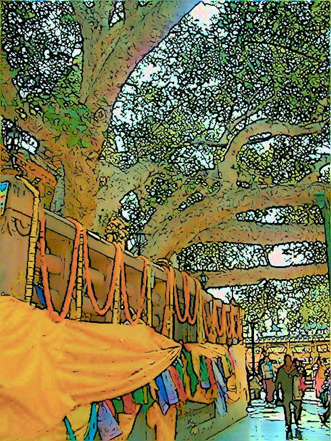 Bodhi Tree Photograph by Lisa Dunn