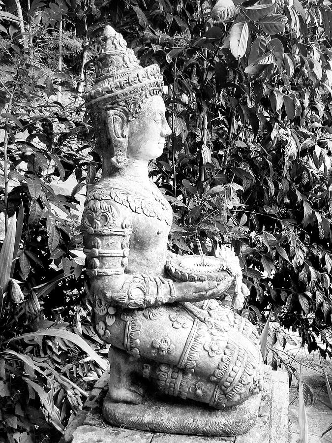 Bodhisattva 1 Photograph by Dominic Piperata