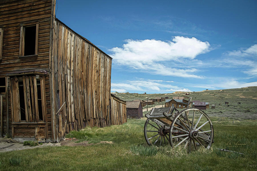 Bodie 39 Photograph by Will Wagner
