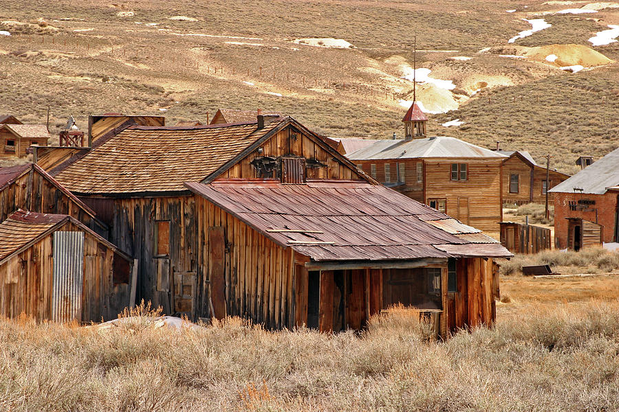 Bodie - Arrested Decay Photograph by Inge Riis McDonald