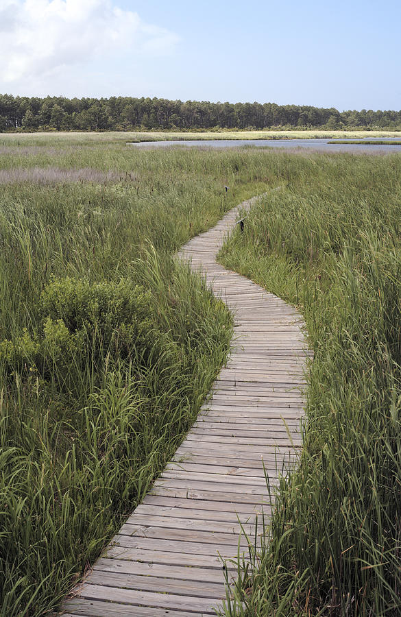 Bodie Island Boardwalk in the Outer Banks of North Carolina Photograph by William Kuta